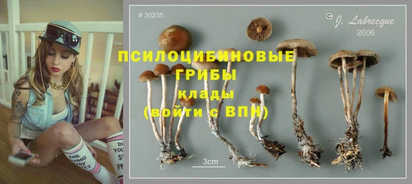 молекула духа Балабаново