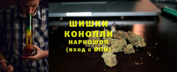 PSILOCYBIN Аркадак